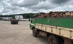 爱尔兰擒科特迪瓦-跨国合作上演高潮的简单介绍