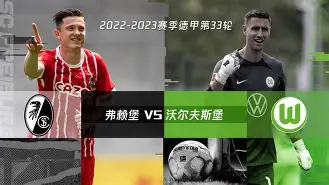 阿塞拜疆前锋齐达内代表沃尔夫斯堡队攻入关键一球逼平法兰克福队的简单介绍