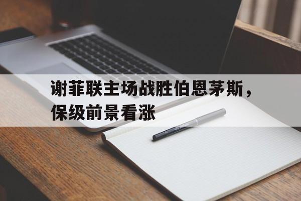 娱乐社区-谢菲联vs