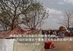 世界处于新的动荡变革期外部挑战