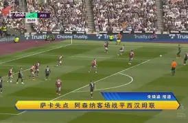 顶级娱乐-包含切尔西客场战平诺里奇，积分榜跌落的词条